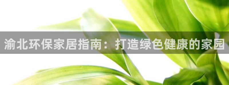 杏耀平台代理登录网址查询：渝北环保家居指南：打造绿色健康的家