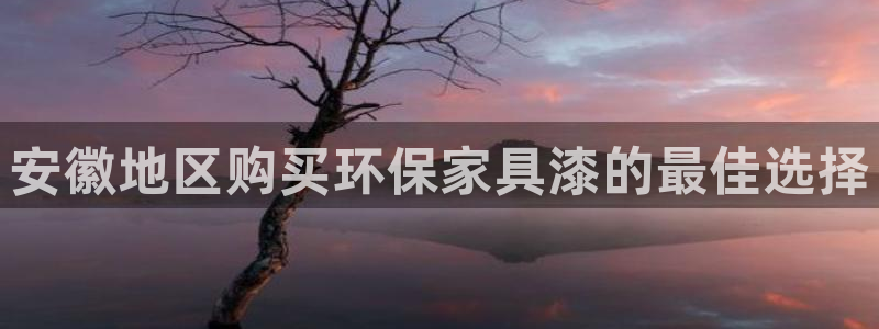 杏耀平台登陆地址：安徽地区购买环保家具漆的最佳选择