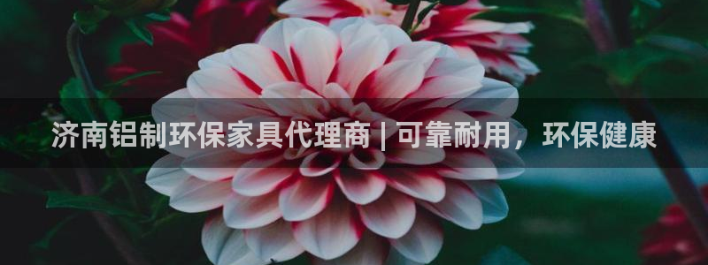 杏耀怎么注册：济南铝制环保家具代理商 | 可靠耐用，环保健康